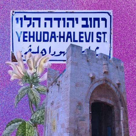 yehuda_levi